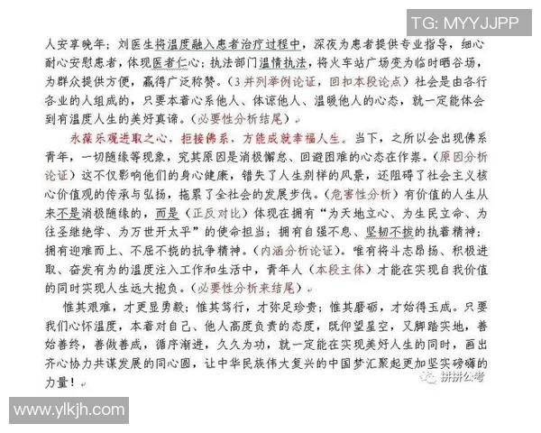 独家解析西安排球队实力对比与战术布局的深度分析