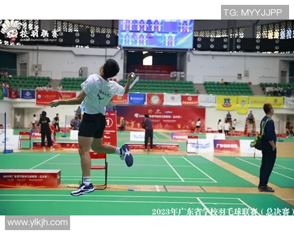 武汉羽毛球队包夹战术分析与得失总结探讨