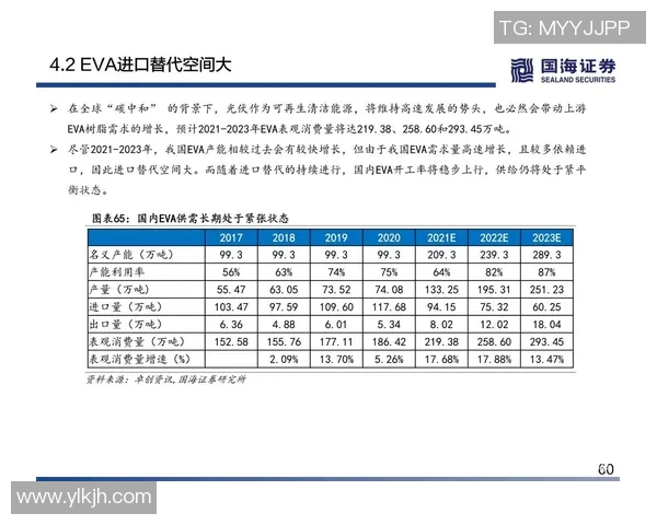 北京羽毛球队技术分析与战术研究的深度探讨与未来发展方向 北京羽毛球队技术分析与战术研究的深度探讨与未来发展方向