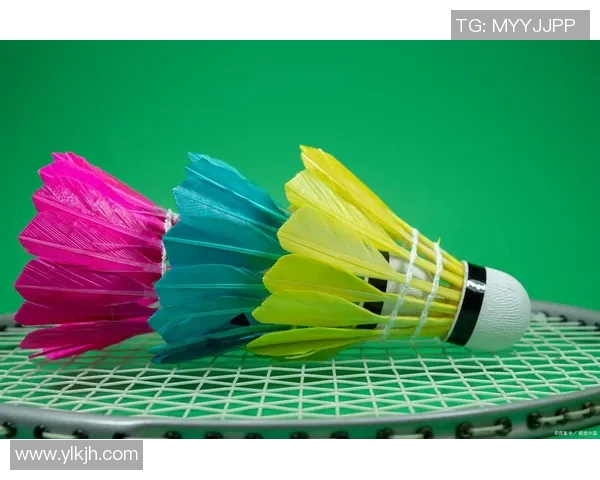 周伟独家分享羽毛球技巧与心得助你提升竞技水平与乐趣