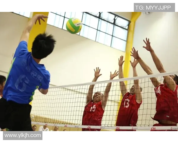 张芳排球生涯回顾与展望对话录分享运动精神与成长故事