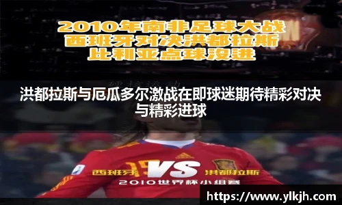 智博19有限公司