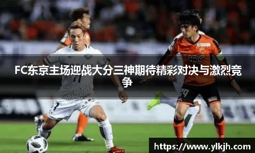 智博19有限公司